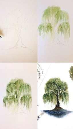 Снегирь пошаговое рисование