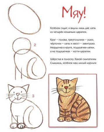 Схема рисования кошки для детей