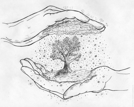 Рисунки природы карандашом для срисовки