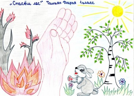 Рисунок берегите природу