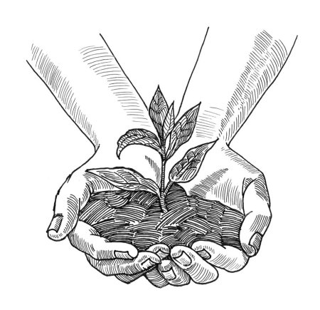 Сломанное дерево карандашом