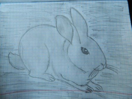 Рисунки карандашом на свободную тему легкие