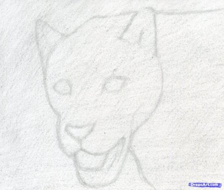 Рисунки карандашом