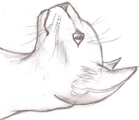 Рисунок на свободную Теи