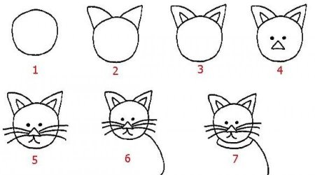Схема рисования кота для детей