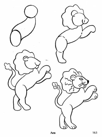 Схема поэтапного рисования Льва для детей