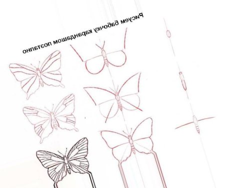 Рисунок ручкой для начинающих