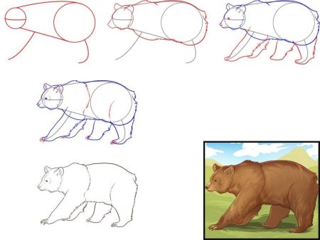 Нарисовать медвежонка поэтапно для детей