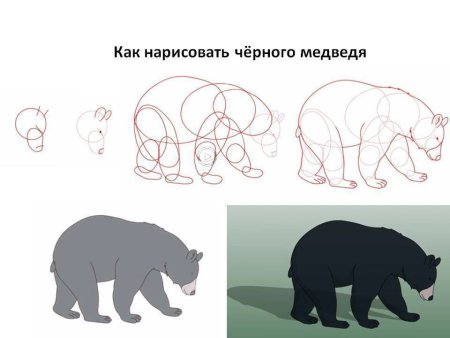 Как рисовать медведя