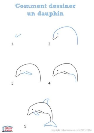 Дельфин рисунок поэтапно