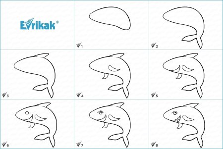 Как нарисовать акулу