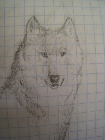 Узоры на листе в клетку