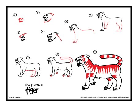 How to draw a Tiger steps