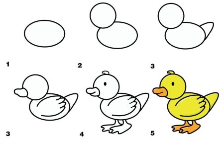Белка рисунок сбоку хвост белки