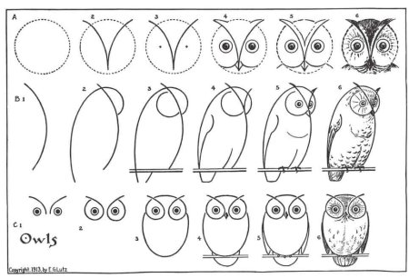 Поэтапное рисование цветов карандашом