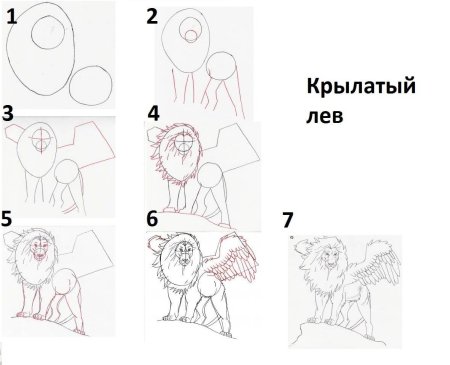 Пошаговое рисование Льва