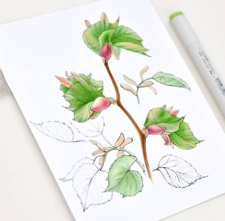 Рисунки для скетчинга для начинающих простые