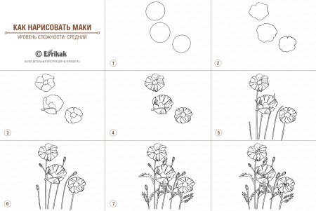 Поэтапное рисование комнатного растения для детей