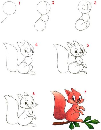 Поэтапное рисование белочки
