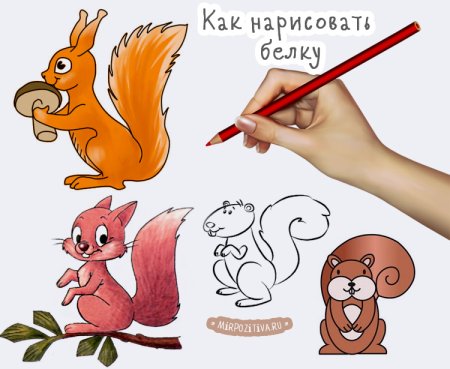 Белка поэтапное рисование