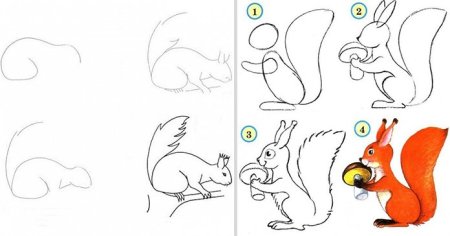 Белочка поэтапное рисование для детей