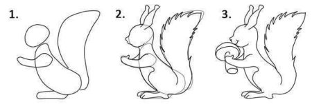 Рисование пошагово для малышей белка