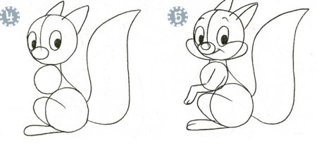 Поэтапное рисование белки