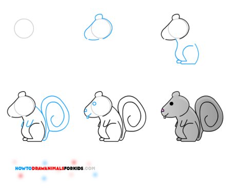 Как нарисовать белку