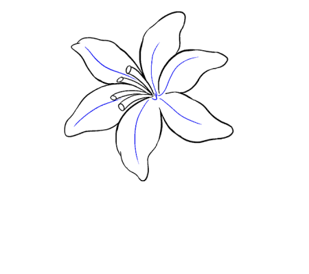 Цветок эскиз легкий