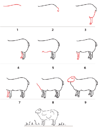 Поэтапное рисование овечки для детей