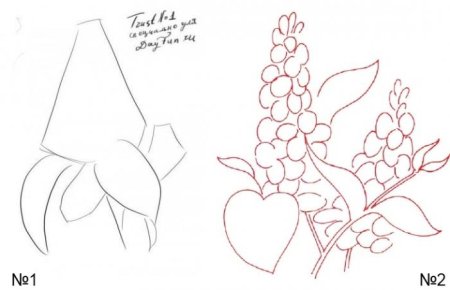 Сирень рисунок пошагово