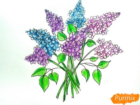 Рисование лист сирени