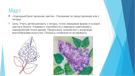 Поэтапное рисование сирени