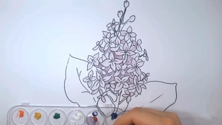 Этапы рисования сирени