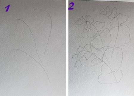 Сирень карандашом