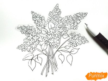 Сирень рисунок ручкой