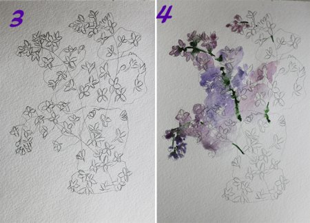 Сирень карандашом