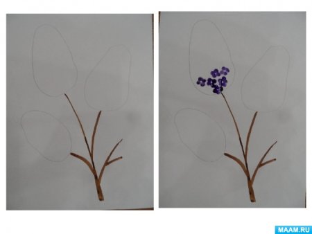 Сирень в вазе рисунок карандашом