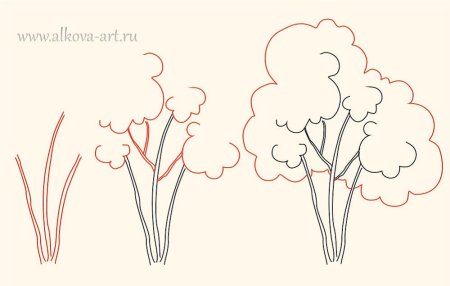 Букет сирени карандашом