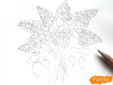 Георгин рисунок пошагово