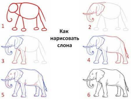 Этапы рисования слона