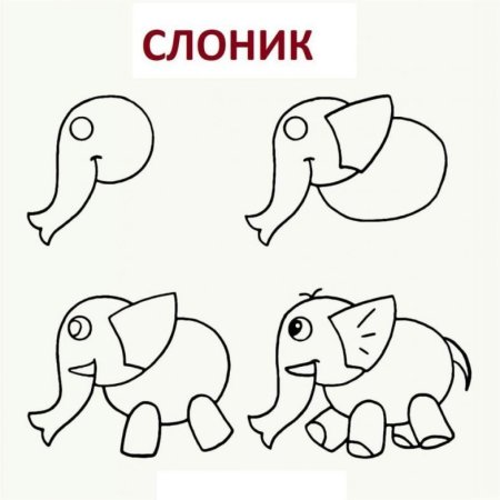 Слон поэтапное рисование для детей