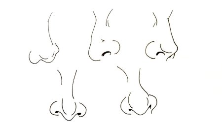 Как правильно рисовать нос человека карандашом