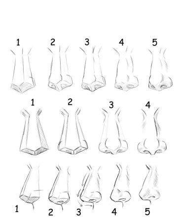 Поэтапное рисование носа человека