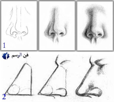 Этапы рисования носа