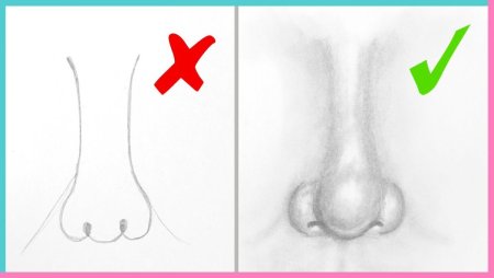 Анатомия носа для рисования для начинающих