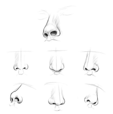 Уроки рисования носа карандашом для начинающих