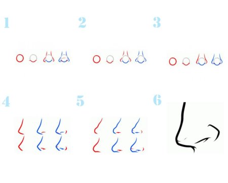 Поэтапмно рисование носа