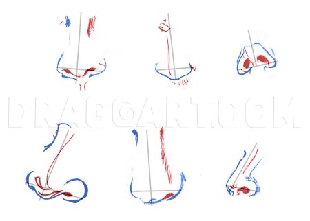 Поэтапное рисование частей лица