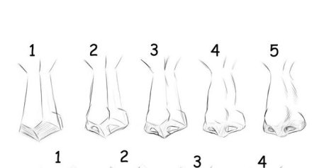 Построение носа